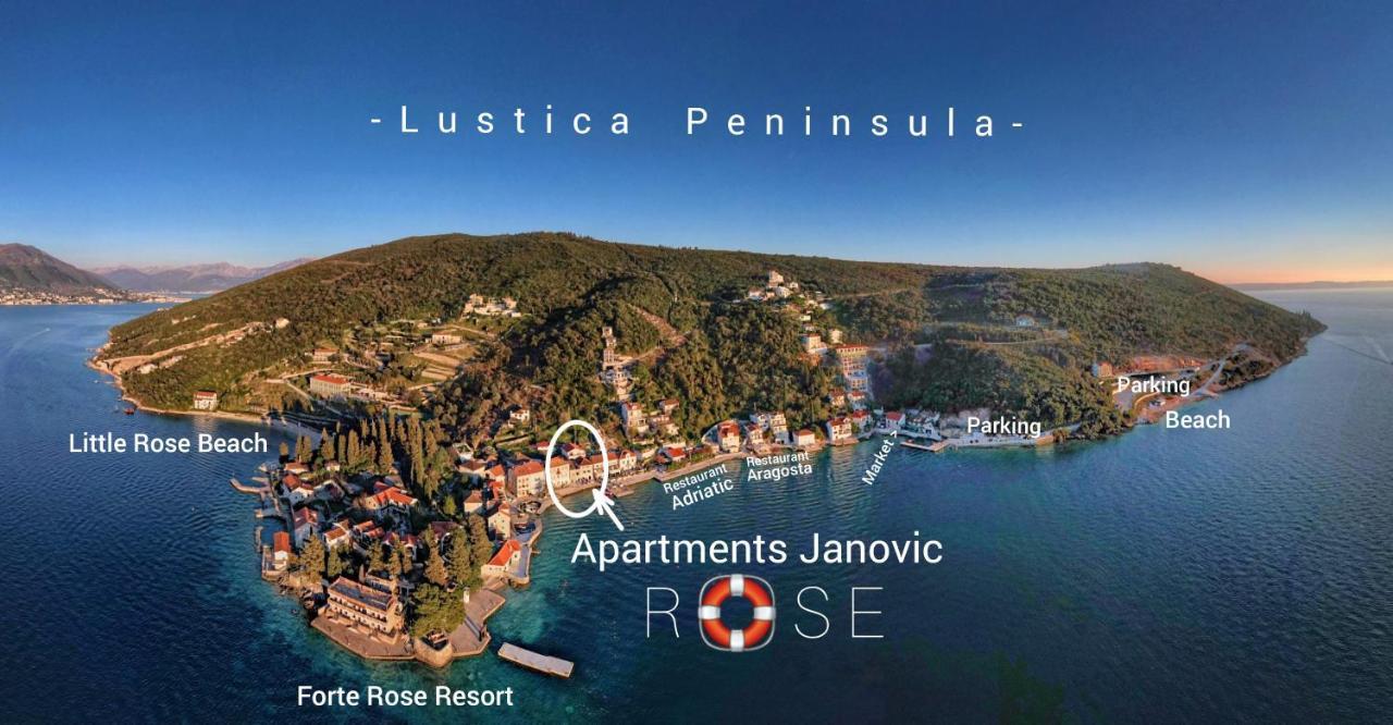 Rose - Apartmani Janovic Luštica Esterno foto