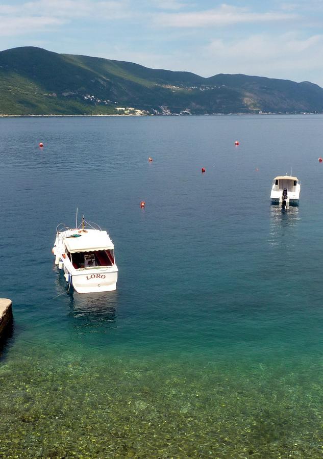 Rose - Apartmani Janovic Luštica Esterno foto
